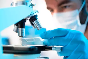 best pathology lab in Purnia, best lab for blood test in purnia, best nabl lab in purnia